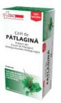 FarmaClass Patlagina 20 plicuri