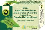 Hypericum Plant Ceai Momordica cu Stevia Rebaudiana 20 plicuri