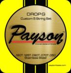 Payson Fanned Drop G SS 5 set