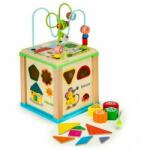 Eco Toys Cub educational din lemn cu tabla Ecotoys HM015470 (EDIHM015470)