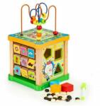 Eco Toys Cub educational din lemn cu tabla Ecotoys HM015473 (EDIHM015473)
