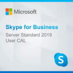 Microsoft Co Skype for Business Server Standard 2019 User CAL (DG7GMGF0F4K1-0002)