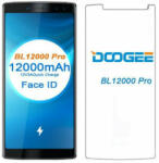DOOGEE Screen ПРОТЕКТОР doogee bl12000 pro (ssp-bl12000 pro)