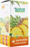 Plafar Ceai de ananas si plante medicinale 20 plicuri