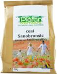 Plafar Sanobronsic 50 g