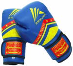 ARMURA Manusi de box ARMURA Honor et Patria 2.0 (AFS11-14oz)