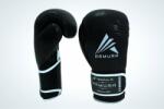 ARMURA Manusi de box ARMURA Decurion 5.0 Negre (AFS07-negru-10oz)