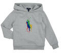 Ralph Lauren Pulóverek PO HOOD-KNIT SHIRTS-SWEATSHIRT Szürke 7 éves