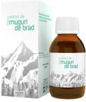 Tis Farmaceutic Sirop cu Extract de Muguri de Brad - Tis Farmaceutic Tisofit, 150 ml