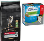 PRO PLAN Pro Plan 7/10/12/14 kg Purina hrană uscată + Dentalife Snackuri gratis! - Medium Puppy Sensitive Digestion Miel & Orez (12 kg) 24 sticksuri câini