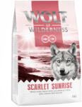 Wolf of Wilderness Wolf of Wilderness Preț special! 2 x 1 kg hrană uscată câini - Adult Scarlet Sunrise Somon & ton
