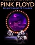 Pink Floyd - Delicate Sound Of Thunder (Box Set) (190295215927)