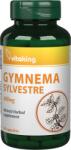 Vitaking Gymnema Sylvestre (90 caps. )