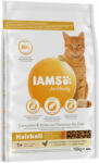 Iams IAMS 10% reducere! 10 kg hrană uscată - Vitality Hairball Adult Pui (10 kg)