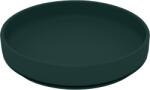 PETITEMARS PETITE&MARS Szilikon tányér tapadókoronggal TAKE&MATCH Misty Green 6m+ (AGS708817akcia)