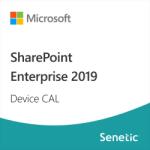 Microsoft SharePoint Enterprise 2019 Device CAL (DG7GMGF0F4LV-0003) (DG7GMGF0F4LV-0003)
