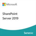 Microsoft SharePoint Server 2019 (DG7GMGF0F4LT-0002) (DG7GMGF0F4LT-0002)