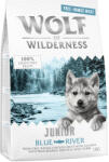 Wolf of Wilderness Wolf of Wilderness Preț special! 2 x 1 kg hrană uscată câini - Pui crescut în aer liber & somon