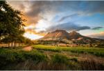  Tablou Canvas Colorful Autumn Sunset Over Vineyards, 80x50cm, tabloucanvas316 (tabloucanvas316/50x80cm)