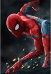  Poster Spiderman Home Coming, 61x90cm, poster432 (poster432)