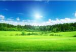  Tablou Canvas Bright Greeny Field, 80x50cm, tabloucanvas21 (tabloucanvas21/50x80cm)