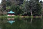  Tablou Canvas Chinese Pavilion In Golden Gate Park, 80x50cm, tabloucanvas1114 (tabloucanvas1114/50x80cm)