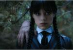  Poster Wednesday Addams, 61x90cm, poster2037 (poster2037)