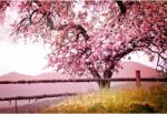  Tablou Canvas Blooming Apple Tree In Spring, 80x50cm, tabloucanvas806 (tabloucanvas806/50x80cm)