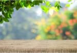 Tablou Canvas Lost In Nature, 80x50cm, tabloucanvas65 (tabloucanvas65/50x80cm)