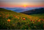  Tablou Canvas Fantastic View Of The Sunset Over The Mountain Ranges, 80x50cm, tabloucanvas681 (tabloucanvas681/50x80cm)