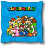 NINTENDO Perna Super Mario Bros Personaje, 40x40cm (8436580113588)