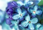  Tablou Canvas Pastel Flowers Touched By Morning Dewdrop, 80x50cm, tabloucanvas798 (tabloucanvas798/50x80cm)