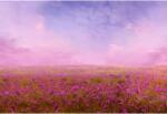  Tablou Canvas Amazing Pink Field In Summer, 80x50cm, tabloucanvas1075 (tabloucanvas1075/50x80cm)
