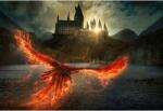  Poster Fantastic Beasts The Secrets Of Dumbledore, 61x90cm, poster919 (poster919)