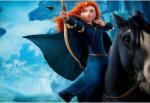  Tablou Canvas Princess Merida, 80x50cm (tablou268/50x80cm)