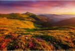  Tablou Canvas Meadows Of Pink Wild Flowers On Carpathian Mountains, 80x50cm, tabloucanvas616 (tabloucanvas616/50x80cm)