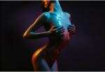  Tablou Canvas Modern Nude Women Posing, 80x50cm, tabloucanvas108 (tabloucanvas108/50x80cm)