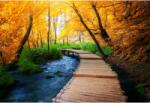  Tablou Canvas Stream, Wooden Pond And Autumn Colors, 80x50cm, tabloucanvas357 (tabloucanvas357/50x80cm)