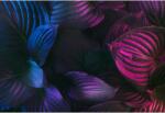  Tablou Canvas Vibrant Colors Of Palm Leaves, 80x50cm, tabloucanvas1082 (tabloucanvas1082/50x80cm)