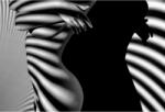  Tablou Canvas Body Nude Woman Black White, 80x50cm, tabloucanvas217 (tabloucanvas217/50x80cm)