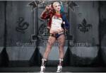  Poster Harley Quinn Posing, 61x90cm (poster242)