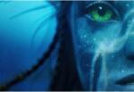  Poster Avatar The Way Of Water 2, 61x90cm, poster1187 (poster1187)