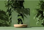  Tablou Canvas Wooden Display, Leafy Shadows And Green Background, 80x50cm, tabloucanvas535 (tabloucanvas535/50x80cm)
