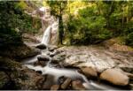  Tablou Canvas Stunnig Flowing Forest Waterfall, 80x50cm, tabloucanvas38 (tabloucanvas38/50x80cm)