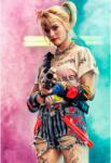  Tablou Canvas Harley Quinn Birds Of Prey, 80x50cm (tablou317/50x80cm)