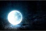  Tablou Canvas Moonlight at Night, 80x50cm, tabloucanvas1184 (tabloucanvas1184/50x80cm)