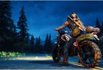  Poster 2021 Days Gone, 61x90cm, poster1654 (poster1654)