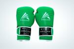 ARMURA Manusi de box ARMURA Decurion 5.0 Verzi (AFS07-verde-6oz)
