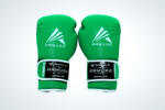 ARMURA Manusi de box ARMURA Decurion 5.0 Verzi (AFS07-verde-14oz)