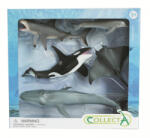 CollectA Set De 5 Figurine Pictate Manual Viata Marina (COL84072WB) - piciulica Figurina
